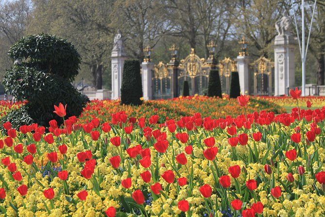 Private Tour, Entry to Westminster Abbey and London Highlights - After the Abbey: Parliament Square Photo Stop With Context