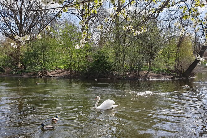 Private Tour of Westminster Abbey and Changing of the Guard - St James’s Park break: birds, families, and a slower pace