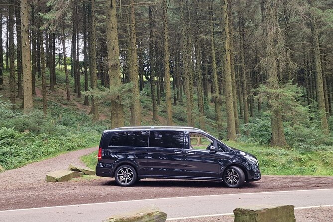 Private transfer any London hotel to/from Southampton Cruise Port - Quick hits