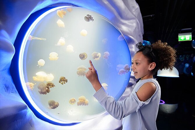 SEA LIFE London Aquarium Admission Ticket - Key things that make this ticket worth your time