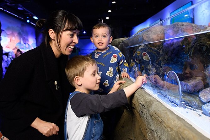 SEA LIFE London Aquarium Admission Ticket - The 3-story route: submarine elevator, glass tunnels, and a clear flow