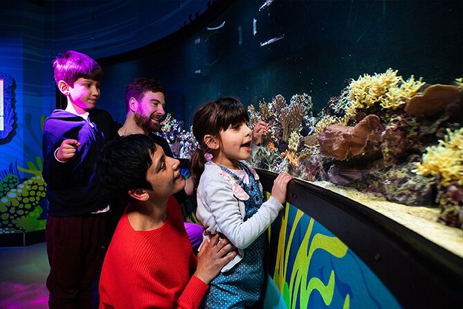 SEA LIFE London Aquarium Admission Ticket - Atlantic Ocean exhibit: tunnel views, turtles, and that walk-through wow factor