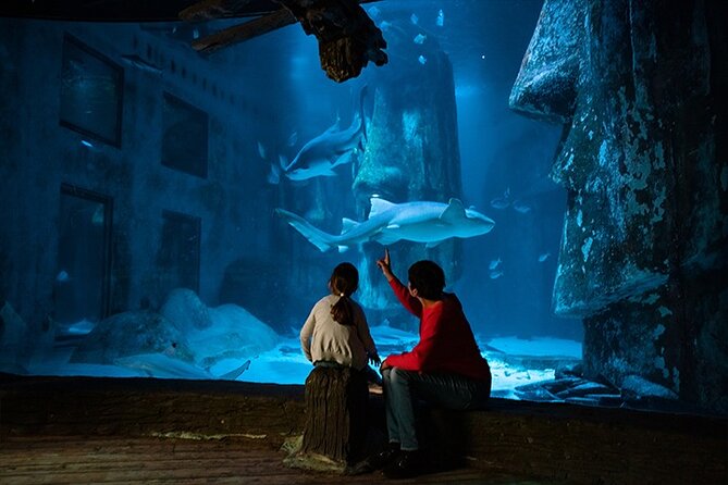 SEA LIFE London Aquarium Admission Ticket - Pacific Zone and Shark Walk: 10 sharks beneath your feet