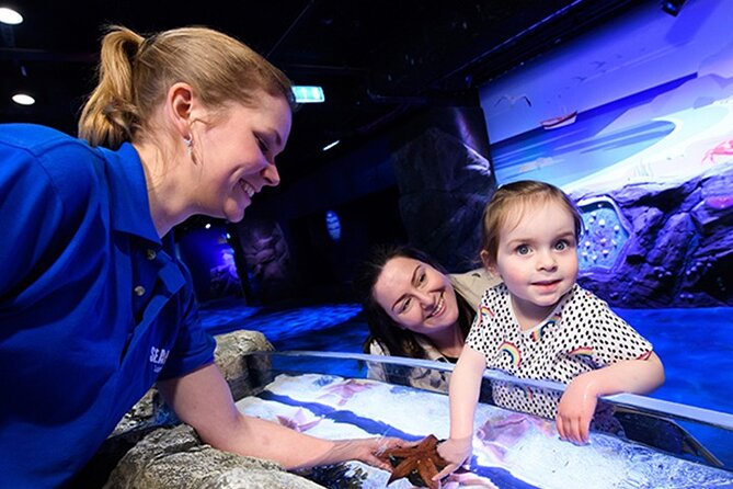 SEA LIFE London Aquarium Admission Ticket - Timed entry and how to choose your best time slot