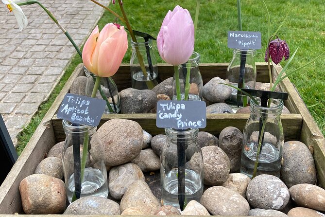 Secret Gardens of London Private Tour - Chelsea Physic Garden: medicinal plants, then high tea