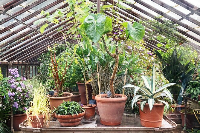 Secret Gardens of London Private Tour - Timing, walking, and private vehicle logistics that actually help