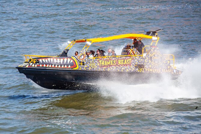 Speedboat 'THE THAMES BEAST' from Tower Millennium Pier - 40 mins - Speed, weather, and what to do if conditions change