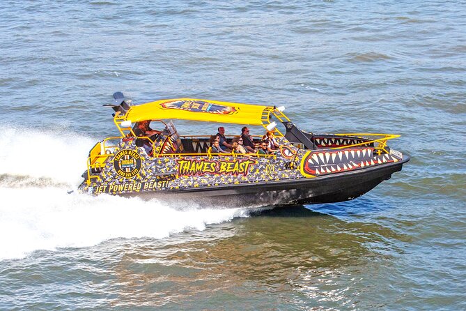 Speedboat 'THE THAMES BEAST' from Tower Millennium Pier - 40 mins - Who should book this speedboat, and who should skip