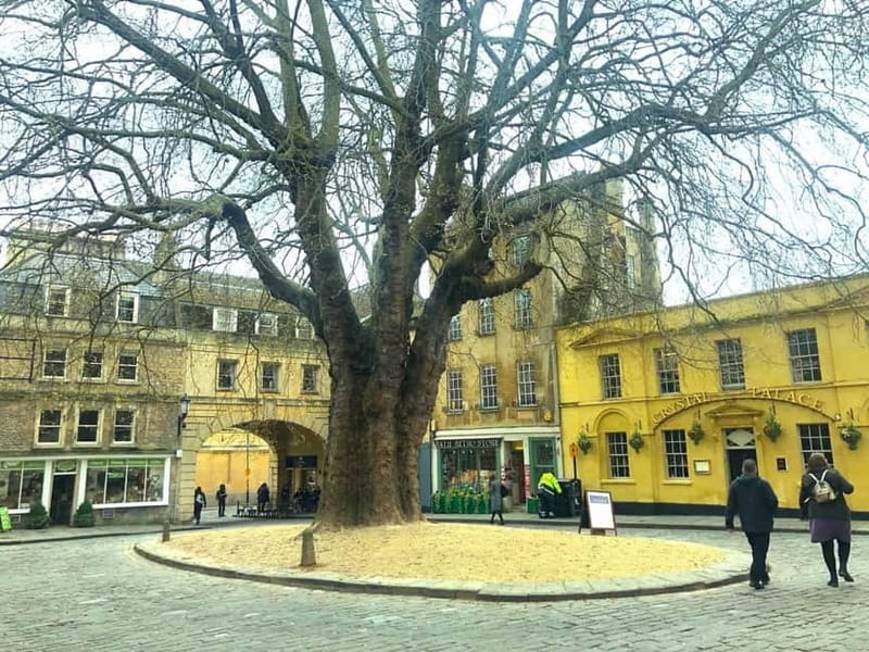 Stonehenge, Bath, Windsor and Roman Baths London Day Tours - Windsor Castle option: royal scale without guesswork