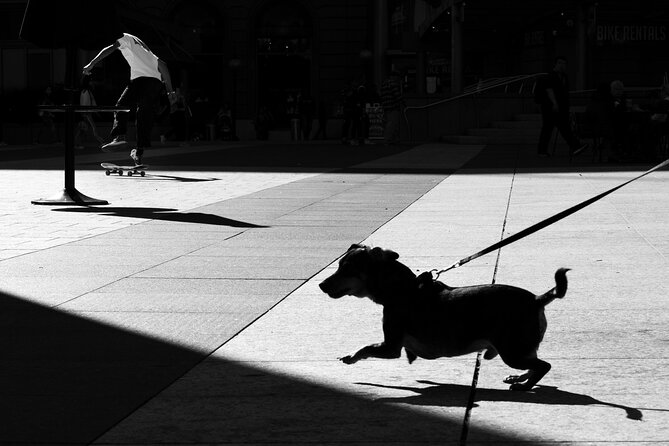 Street Photography Workshops in London - Meeting at Fleet St, London EC4A 2DQ, and How the Day Starts