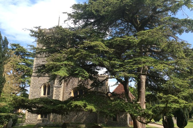 The Roman City of St Albans Private Tour - Getting to St Albans without the hassle, hotel pickup and timing