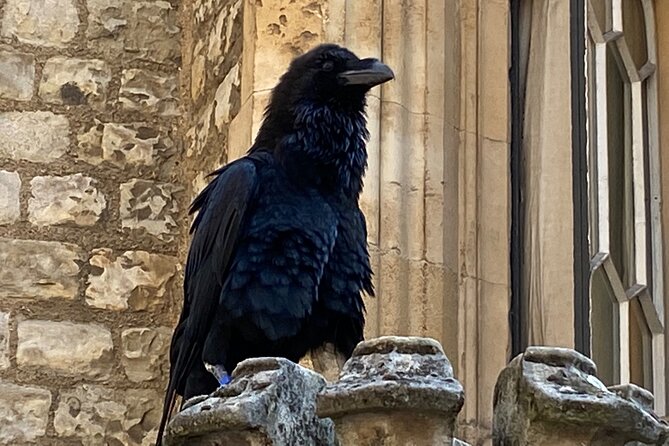 The Tower of London - Small Group Tour with a Local Expert - Quick tips that make your Tower day smoother