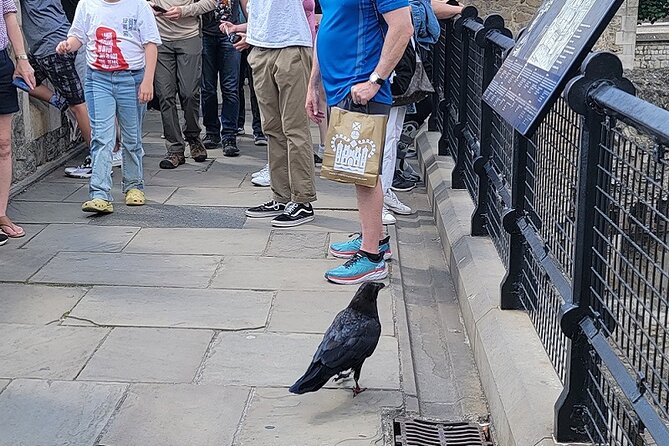 Tower of London: Guided Tour with Thames River Cruise - Price and value: $69.95 is mainly for the guided structure