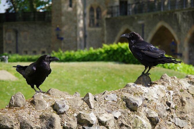 Tower of London Private Walking Tour - A Private 2.5-Hour Tower of London Walk, Built for Questions