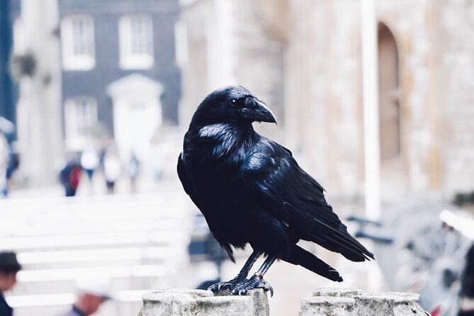 Ultimate Royal London: Tower of London & City of Westminster Tour - Horse Guards Parade: A Short Stop With Big Photo Payoff