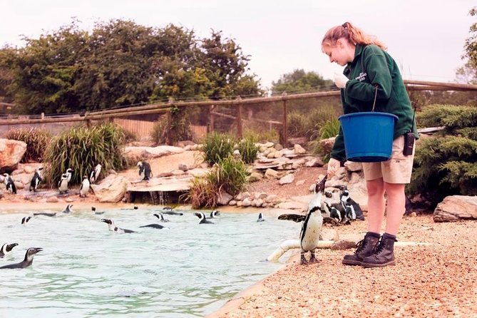 Whipsnade Zoo Entry Ticket - The zoo’s layout: outdoor space that makes animals feel more real